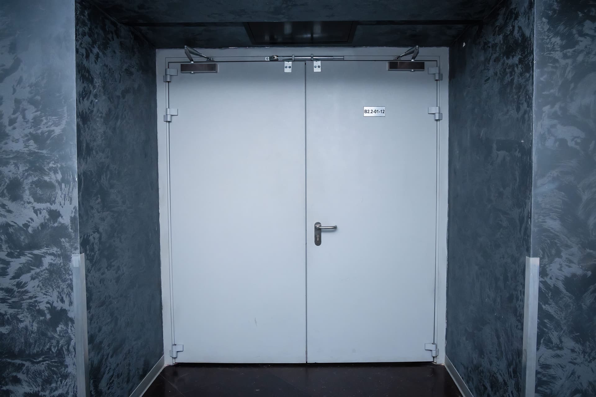 Противопожарная дверь EI 60