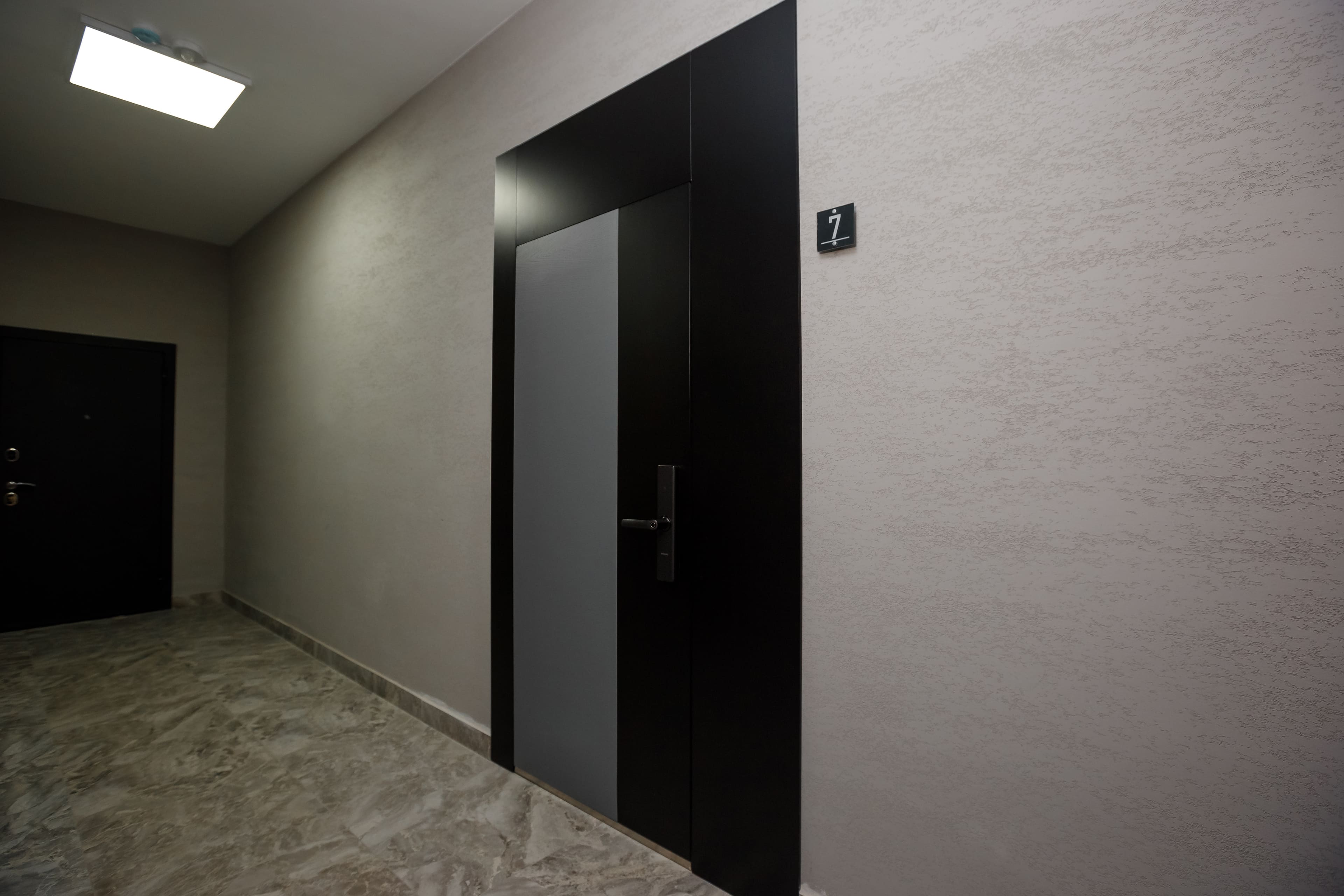 Дверь стеллс - фото 2