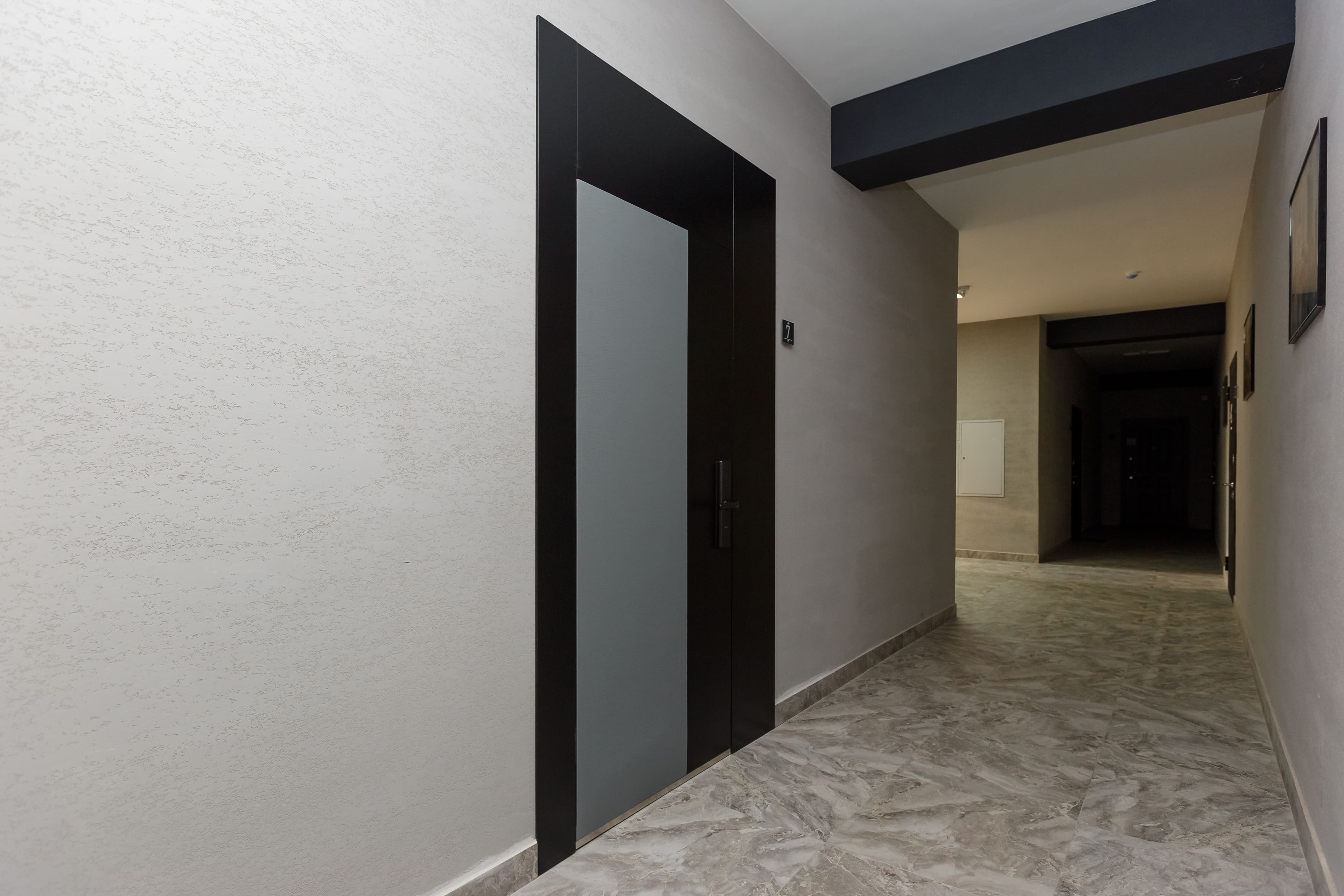 Дверь стеллс - фото 4